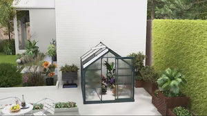 BloomGreen 6' x 8' Greenhouse with Rain Gutter and Roof Vent Dark Green