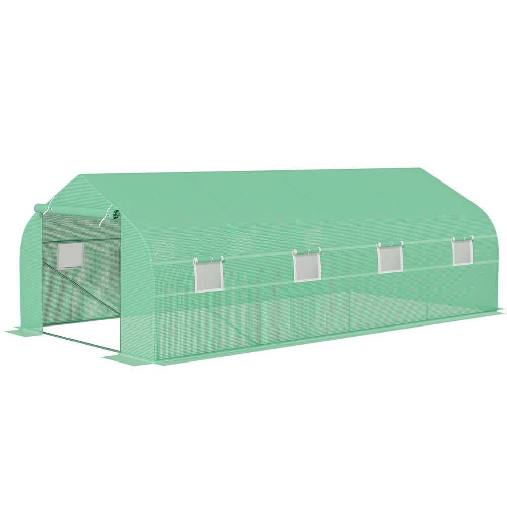 Polytunnel Greenhouse with Windows and Door, Walk in Greenhouse for Garden, Backyard (6 x 3 M)