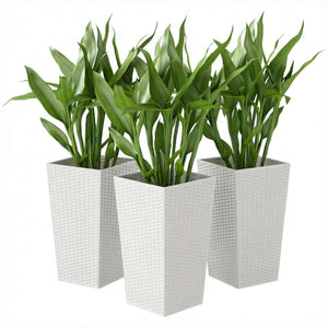 Tall Planters for Outdoor Plants Set of 3, 24 In Taper Planters with Drainage Holes, Rattan Decor Plant Pots for Indoor Outdoor Front Porch Patio Backyard, White