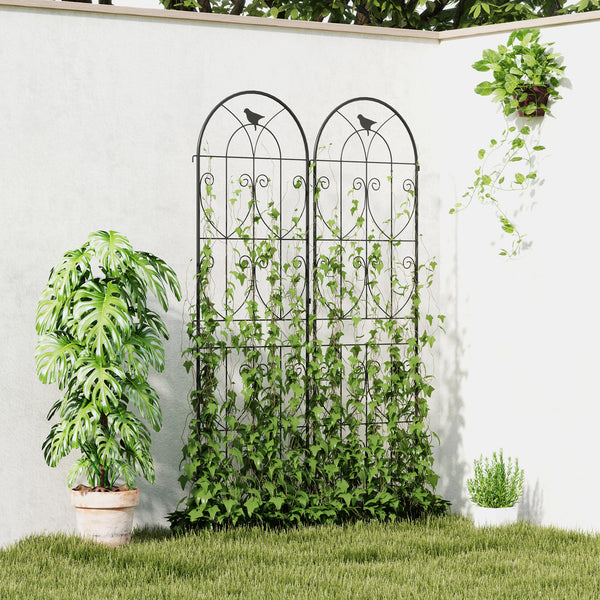 Set of 2 Metal Garden Trellis, Decorative Trellis Panels for Climbing Outdoor Plants, Vegetables, Vines, Flowers, 180 x 50 cm, Bird Design