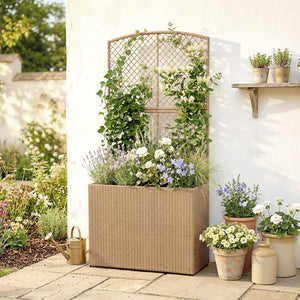 Garden Planter with Trellis, Rattan Raised Beds for Garden with Liner, Freestanding Outdoor Planter Box for Climbing Plants, Herbs, Vegetables, Flowers, 80 x 30 x 163 cm, Light Grey
