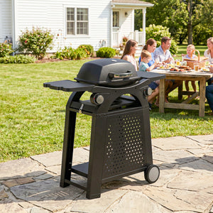 2 Burner Gas Grill with 2 Detachable Side Tables, 3.8 KW Steel Barbecue Grill with Cast Iron Grates, 2-in-1 Portable Tabletop BBQ with Wheels, Thermometer, Grease Tray, Hooks, Black