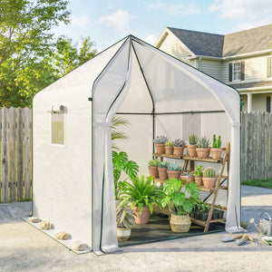 63" x 63" x 78.7" Mini Greenhouse for Outdoors with Roll-up Door and 3 Mesh Windows, Large Plant House with PE Cover and Reinforced Steel Frame, White