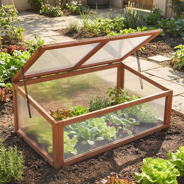 Wooden cold frame with transparent cover on a garden bed with plants