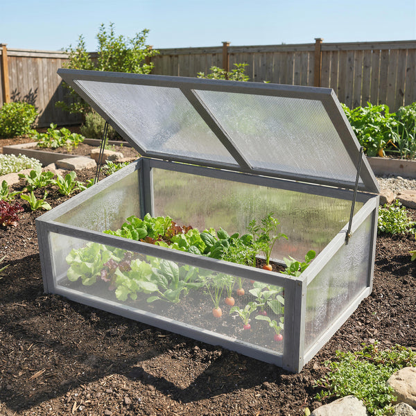 Cold frame with plants in a garden setting