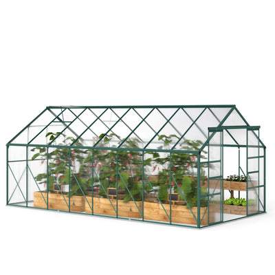 BloomGreen 16' x 8' Greenhouse with Roof Vent and Sliding Door Green