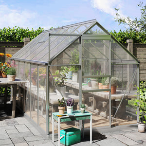 Serre en polycarbonate transparent de 1,83 m x 3,66 m x 1,98 m avec aération de toit réglable et porte coulissante.