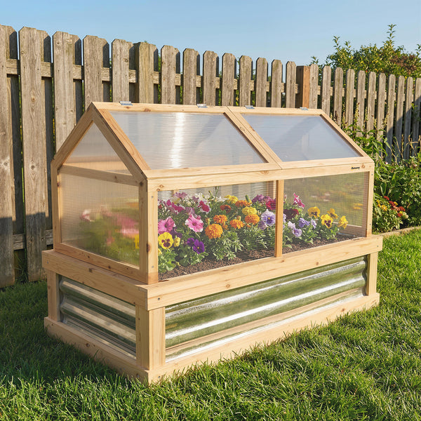Wooden cold frame with transparent roof on grass, wooden fence in background