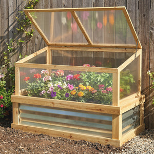 Wooden cold frame with transparent lid containing flowers against a wooden fence background