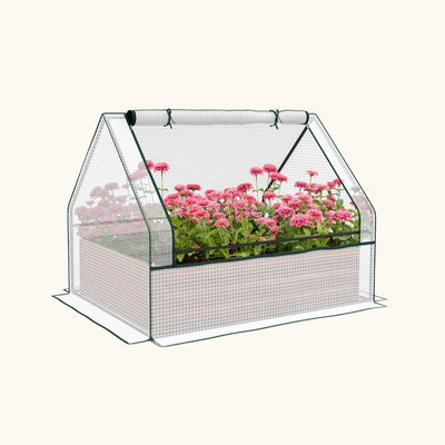 Mini Greenhouse