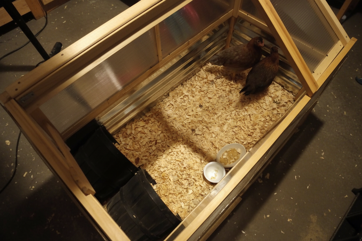 Small animal cage with bedding and a bowl on a dark surface