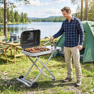 Foldable Gas BBQ Grill with Side Table, Portable Gas Barbecue Grill with Folding Trolley, Thermometer, Grease Box, Wheels for Garden Party Camping Picnic Outdoor Cooking, 2.5 kW, Black