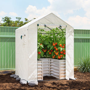 Greenhouse with Raised Garden Bed, 56" x 56" x 75" Galvanized Metal Planter Box with PE Cover, Roll Up Door and Windows, Outdoor Greenhouse for Flowers Vegetables, White