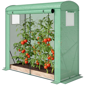 Mini Greenhouse, Portable Greenhouse with Roll-Up Door and 2 Mesh Windows, Small Green House with PE Cover for Garden Patio Lawn, 78.7" x 29.5" x 74", Green
