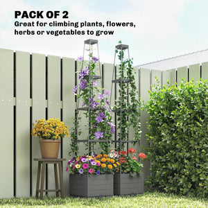2 Pack Raised Garden Bed with Trellis, Plastic Outdoor Planter Box with Removable Drainage Tray, Tomato Cage for Climbing Plants, Vegetables, Flowers, 28 x 28 x 140 cm