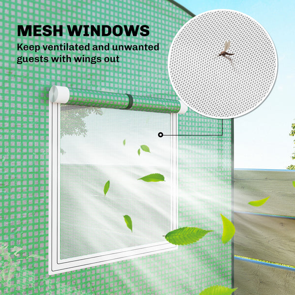 Mini Greenhouse, Portable Greenhouse with Roll-Up Door and 2 Mesh Windows, Small Green House with PE Cover for Garden Patio Lawn, 78.7" x 29.5" x 74", Green