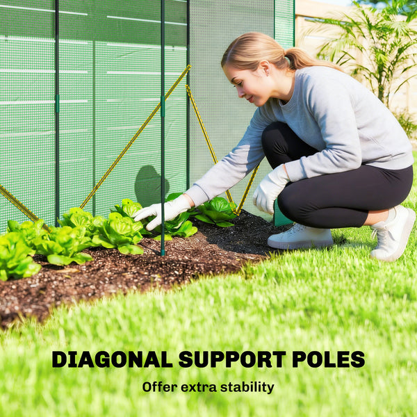 Mini Greenhouse, Portable Greenhouse with Roll-Up Door and 2 Mesh Windows, Small Green House with PE Cover for Garden Patio Lawn, 78.7" x 29.5" x 74", Green