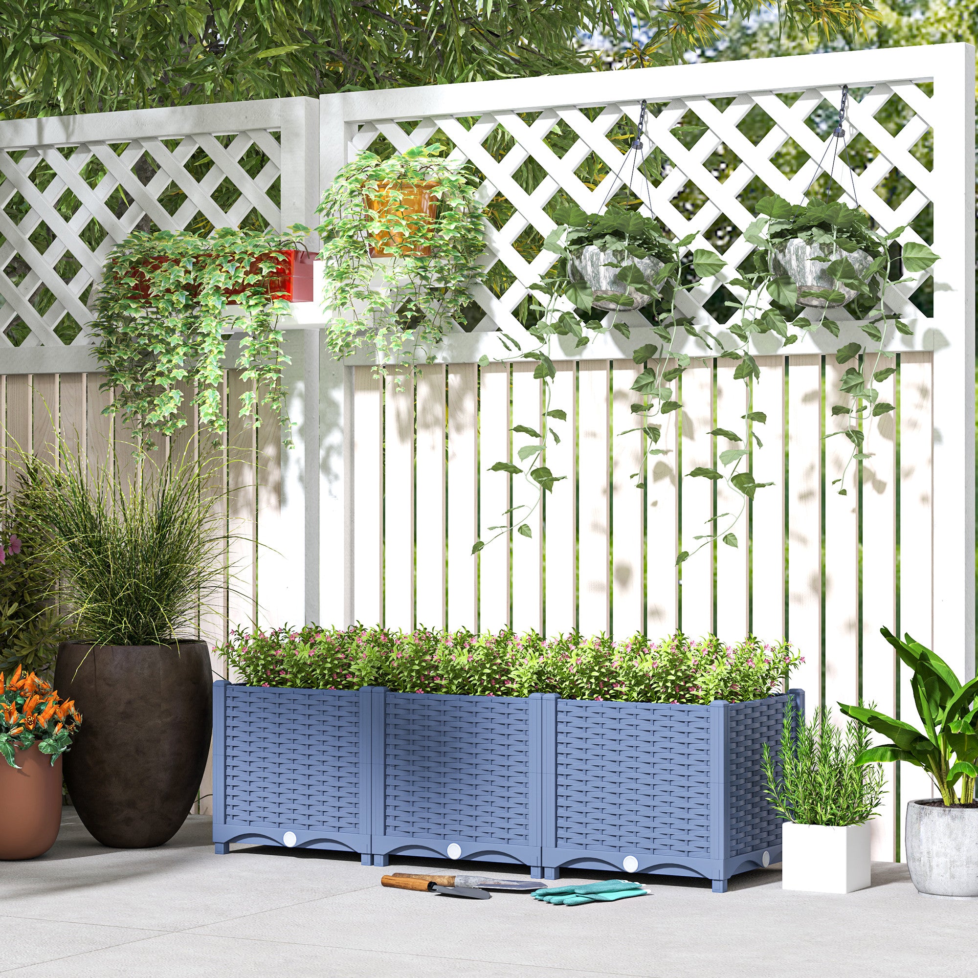 plants mania　THE SIDE UP BOX Amazon.com: United Nursery ZZ Plant – Zamioculcas Zamiifolia