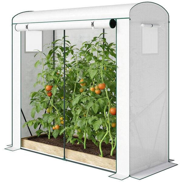 Mini Greenhouse, Portable Greenhouse with Roll-Up Door and 2 Mesh Windows, Small Green House with PE Cover for Garden Patio Lawn, 78.7" x 29.5" x 74", White