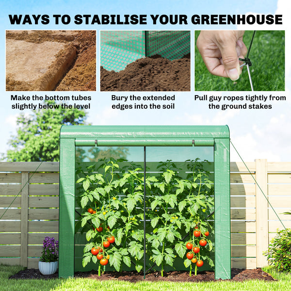 Mini Greenhouse, Portable Greenhouse with Roll-Up Door and 2 Mesh Windows, Small Green House with PE Cover for Garden Patio Lawn, 78.7" x 29.5" x 74", Green