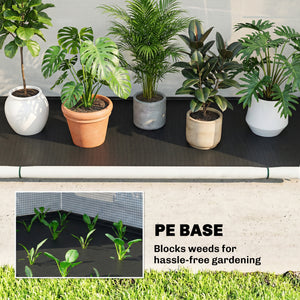 Foldable Small Greenhouse, Portable Green House with Zipper Door, PE Base, Mini Greenhouse for Garden Patio, 200 x 80 x 164 cm, Green