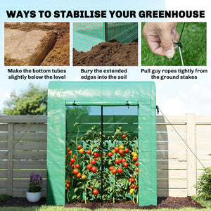 6' x 2' x 6.6' Mini Greenhouse, Portable Garden Green House with Roll-up Door and Mesh Windows, Small Plant Greenhouse with PE Cover, Steel Frame for Indoor Outdoor, Green