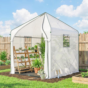63" x 63" x 78.7" Mini Greenhouse for Outdoors with Roll-up Door and 3 Mesh Windows, Large Plant House with PE Cover and Reinforced Steel Frame, White