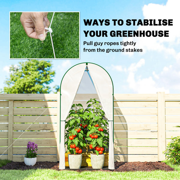 Mini Greenhouse, Portable Green House with Roll-Up Door, PE Base, Small Greenhouse for Garden Patio, 100 x 100 x 195 cm, White