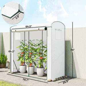 Mini Greenhouse, Portable Greenhouse with Roll-Up Door and 2 Mesh Windows, Small Green House with PE Cover for Garden Patio Lawn, 78.7" x 29.5" x 74", White