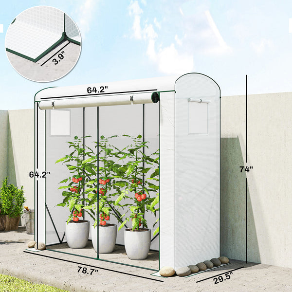Mini Greenhouse, Portable Greenhouse with Roll-Up Door and 2 Mesh Windows, Small Green House with PE Cover for Garden Patio Lawn, 78.7" x 29.5" x 74", White
