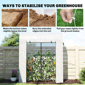 6' x 2' x 6.6' Mini Greenhouse, Portable Garden Green House with Roll-up Door and Mesh Windows, Small Plant Greenhouse with PE Cover, Steel Frame for Indoor Outdoor, White