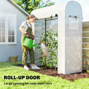 6' x 2' x 6.6' Mini Greenhouse, Portable Garden Green House with Roll-up Door and Mesh Windows, Small Plant Greenhouse with PE Cover, Steel Frame for Indoor Outdoor, White