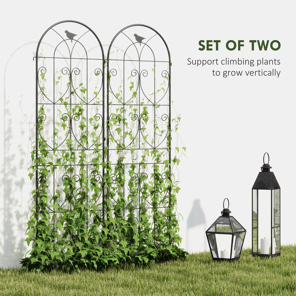 Set of 2 Metal Garden Trellis, Decorative Trellis Panels for Climbing Outdoor Plants, Vegetables, Vines, Flowers, 180 x 50 cm, Bird Design