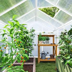 Outsunny 10' x 6' Greenhouse for Outdoors, Polycarbonate Greenhouse with Rain Gutter and Roof Vent, Aluminum Walk-in Green Houses for Outside Patio Backyard Garden