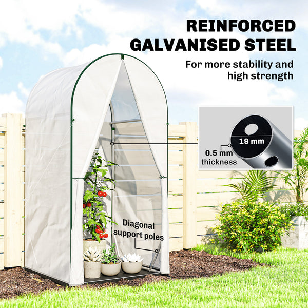 Mini Greenhouse, Portable Green House with Roll-Up Door, PE Base, Small Greenhouse for Garden Patio, 100 x 100 x 195 cm, White