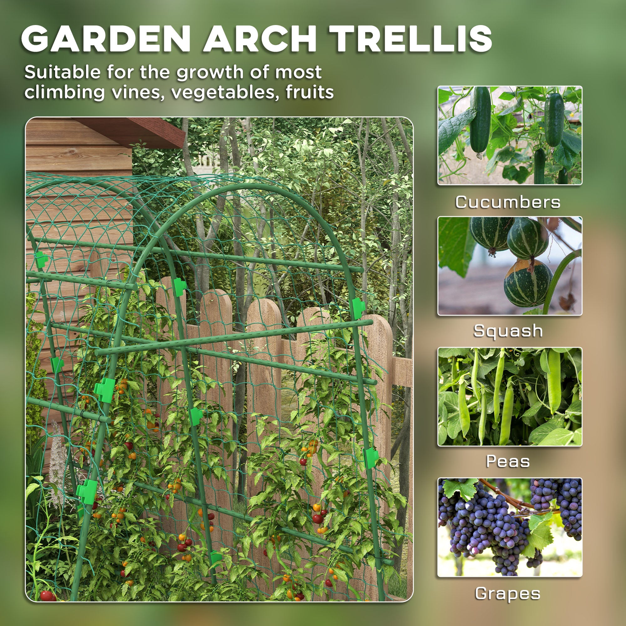 trellis fruit plants Outsunny Metal Arch Garden Trellis for Climbing Plants, A-Frame with Net, 57"x66"x81", Green Outdoor Decor