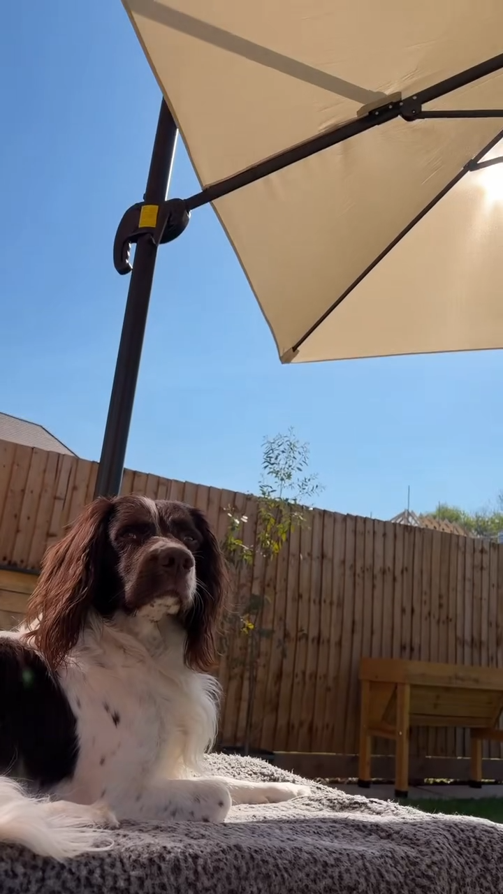 OUTSUNNY