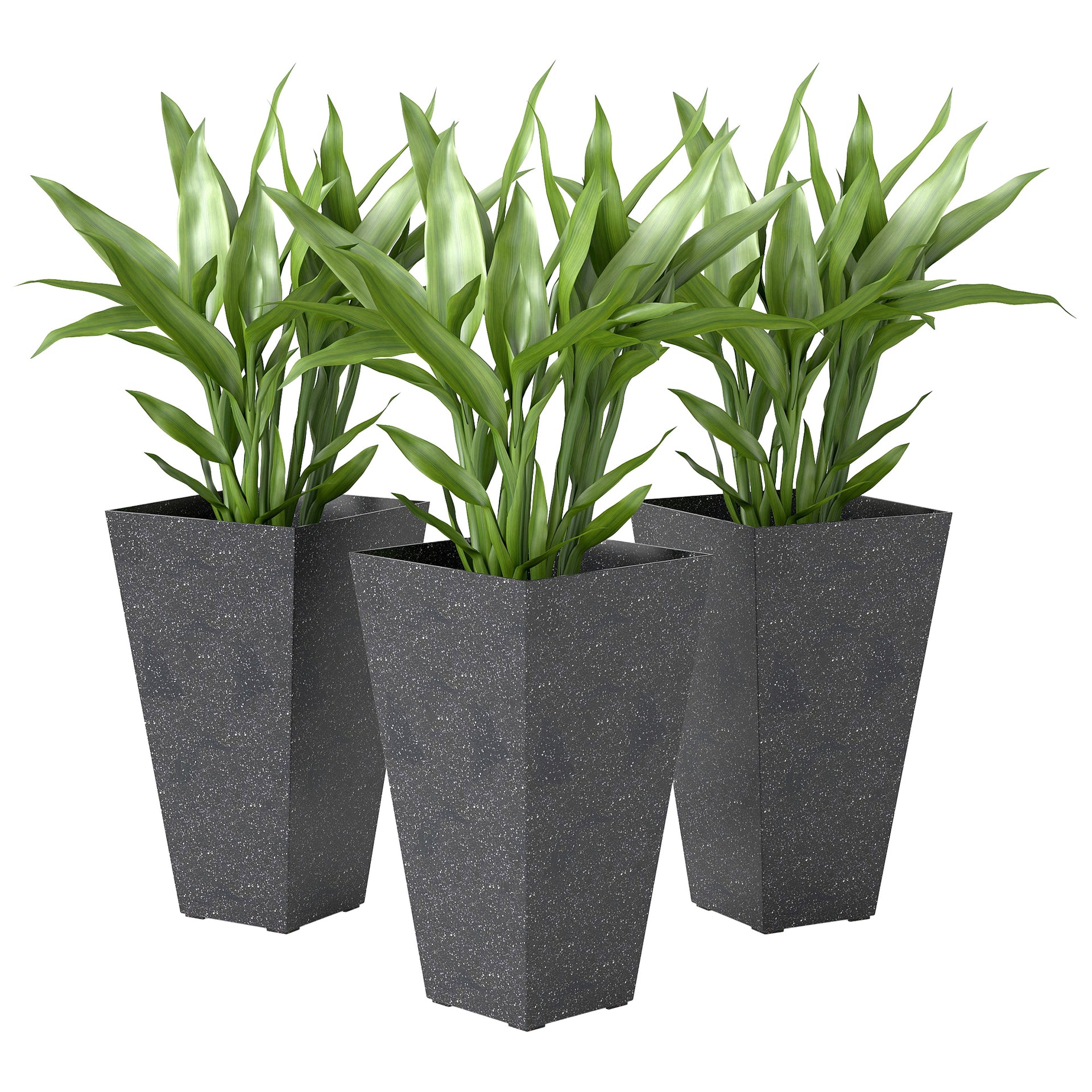 flaxseed plants Flax (Brown) – Green Cover main image 1