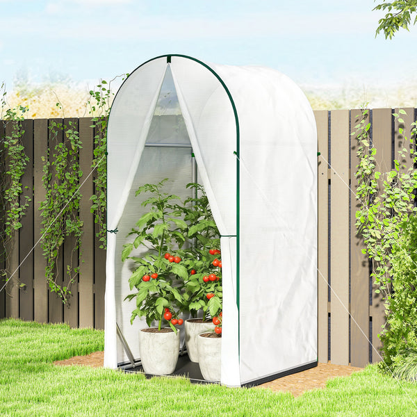 Mini Greenhouse, Portable Green House with Roll-Up Door, PE Base, Small Greenhouse for Garden Patio, 100 x 100 x 195 cm, White