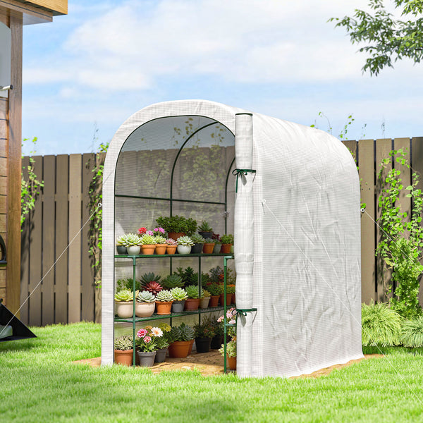 Walk-in Greenhouse with Shelves, Small Greenhouse with Roll-up Door, Garden Plant Growhouse with PE Cover, 123 x 187 x 189 cm, White