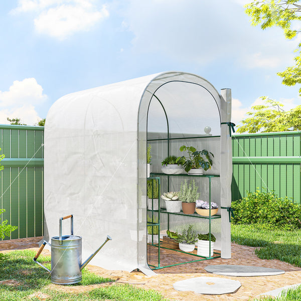 Walk-in Greenhouse with Shelves, Small Greenhouse with Roll-up Door, Garden Plant Growhouse with PE Cover, 123 x 187 x 189 cm, White