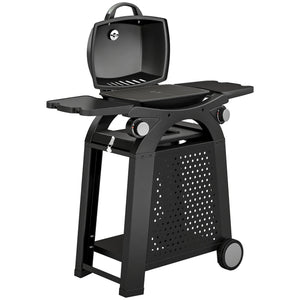 2 Burner Gas Grill with 2 Detachable Side Tables, 3.8 KW Steel Barbecue Grill with Cast Iron Grates, 2-in-1 Portable Tabletop BBQ with Wheels, Thermometer, Grease Tray, Hooks, Black