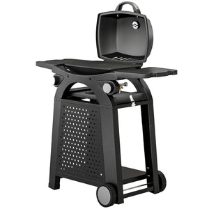 2 Burner Gas Grill with 2 Detachable Side Tables, 3.8 KW Steel Barbecue Grill with Cast Iron Grates, 2-in-1 Portable Tabletop BBQ with Wheels, Thermometer, Grease Tray, Hooks, Black