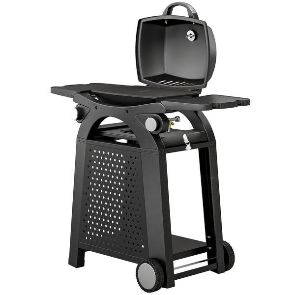2 Burner Gas Grill with 2 Detachable Side Tables, 3.8 KW Steel Barbecue Grill with Cast Iron Grates, 2-in-1 Portable Tabletop BBQ with Wheels, Thermometer, Grease Tray, Hooks, Black