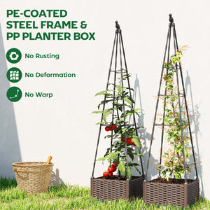 Raised Bed for Garden, Raised Garden Bed Planter Box with Trellis and Self Watering, Tomato Cage with Drainage Holes and Plugs for Climbing Plants Flowers Vegetable Herbs, 40 x 40 x 175 cm