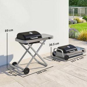 Foldable Gas BBQ Grill with Side Table, Portable Gas Barbecue Grill with Folding Trolley, Thermometer, Grease Box, Wheels for Garden Party Camping Picnic Outdoor Cooking, 2.5 kW, Black