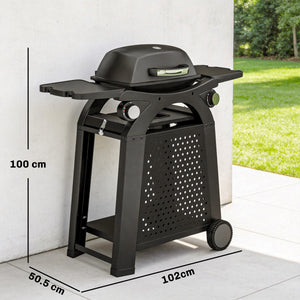 2 Burner Gas Grill with 2 Detachable Side Tables, 3.8 KW Steel Barbecue Grill with Cast Iron Grates, 2-in-1 Portable Tabletop BBQ with Wheels, Thermometer, Grease Tray, Hooks, Black