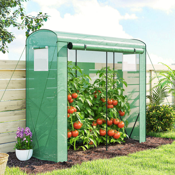 Mini Greenhouse, Portable Greenhouse with Roll-Up Door and 2 Mesh Windows, Small Green House with PE Cover for Garden Patio Lawn, 78.7" x 29.5" x 74", Green