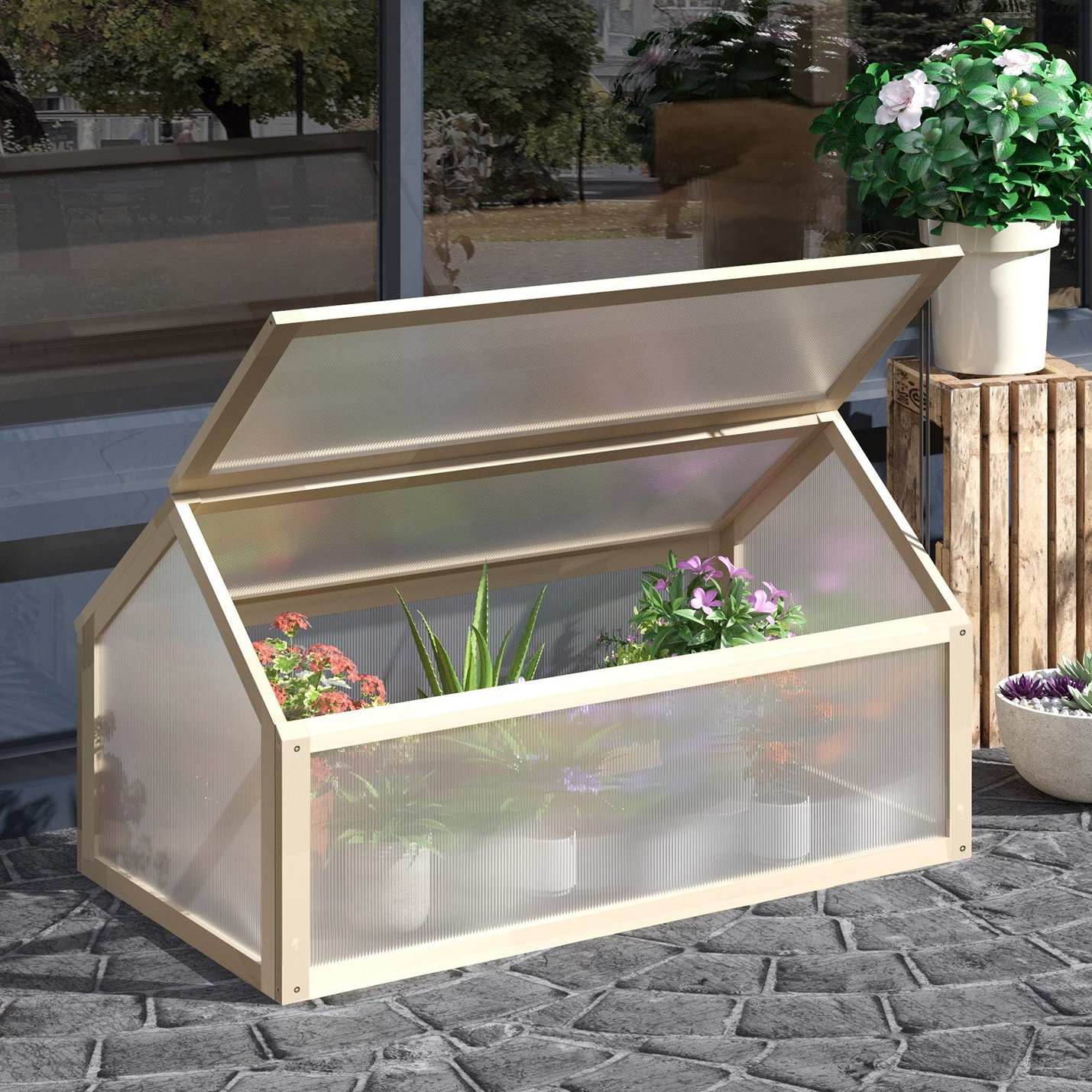 Small glass greenhouse with plants on a patio