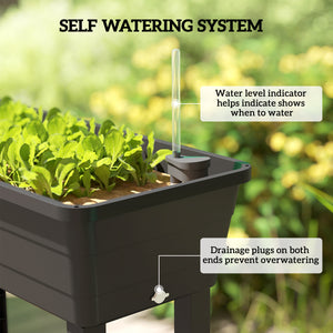 41L Self Watering Raised Garden Bed with Ventilation Transparent Lid Greenhouse, Storage Shelf, Planter Box with Water Level Indicator, 29.5" x 14.2" x 36.2", Black